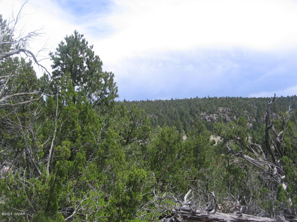 1689 HILL Road, Heber, AZ 85928