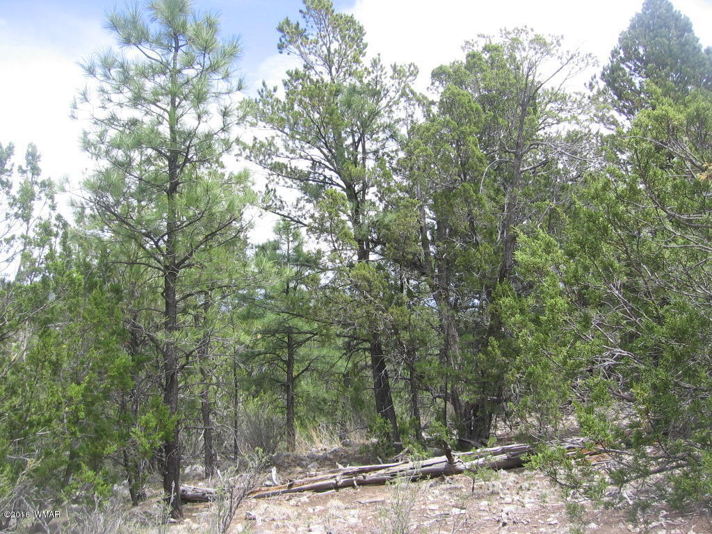 1689 HILL Road, Heber, AZ 85928