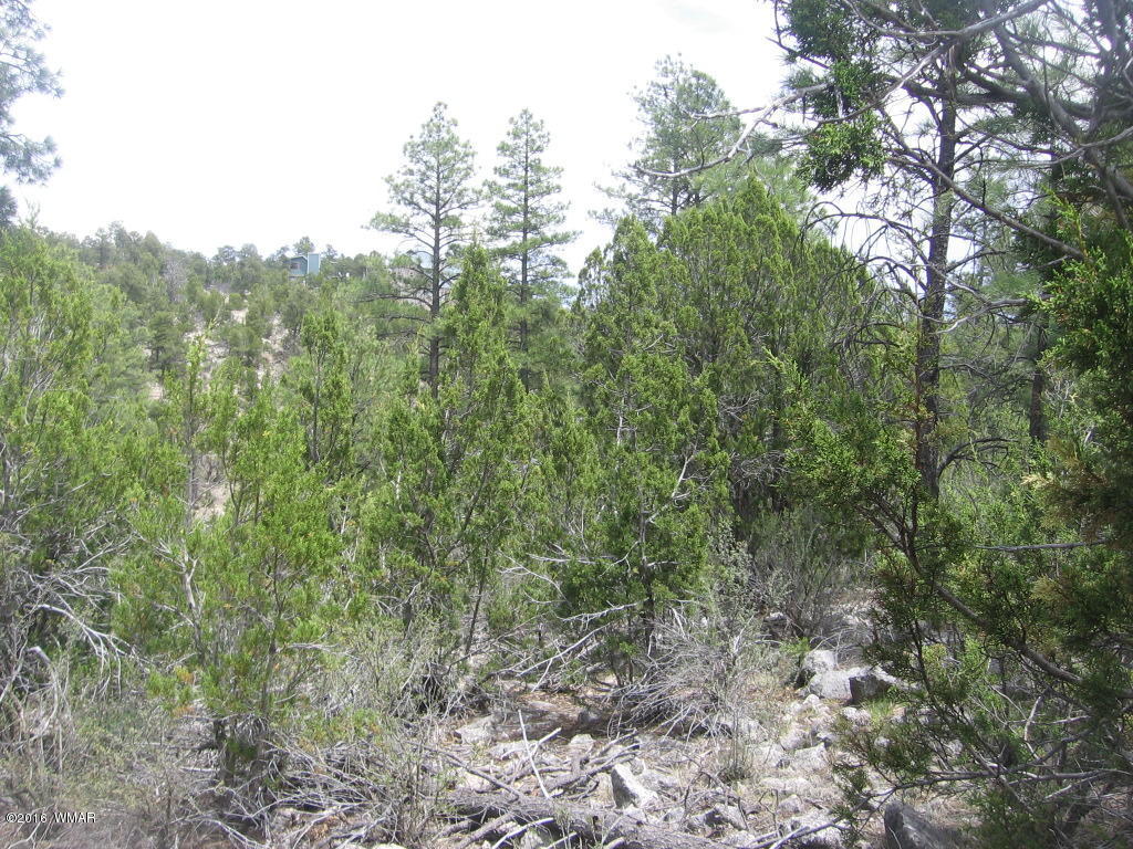 1689 HILL Road, Heber, AZ 85928