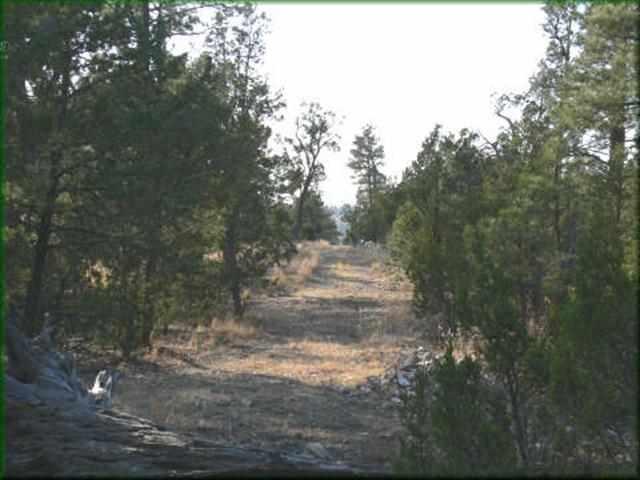 1948 Green Valley, Heber, AZ 85928