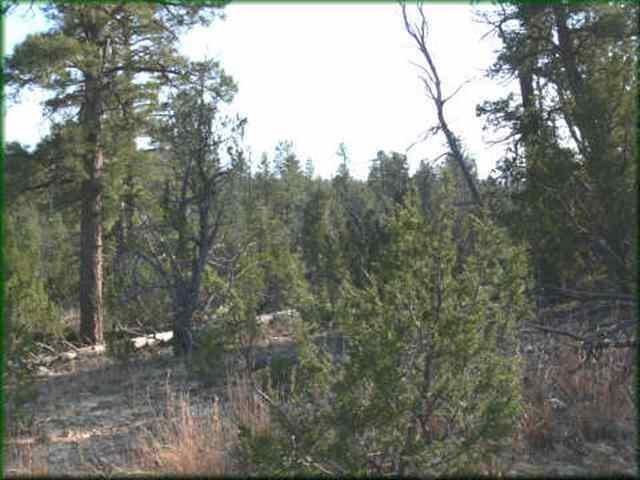 1948 Green Valley, Heber, AZ 85928