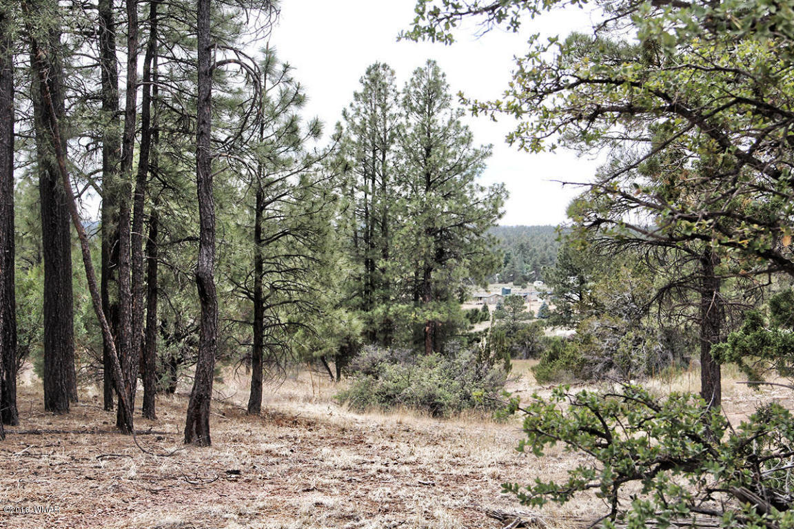 2211 Meadow Trail, Heber, AZ 85928