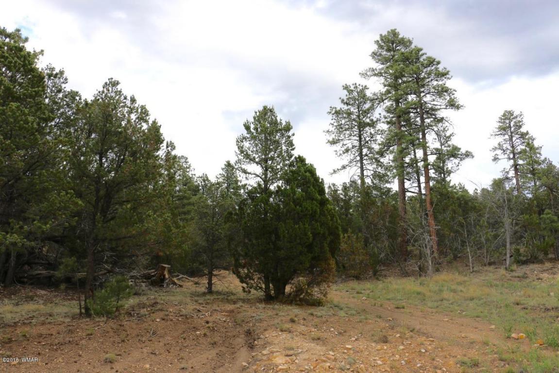 3345 Sawmill Ridge Loop, Heber, AZ 85928