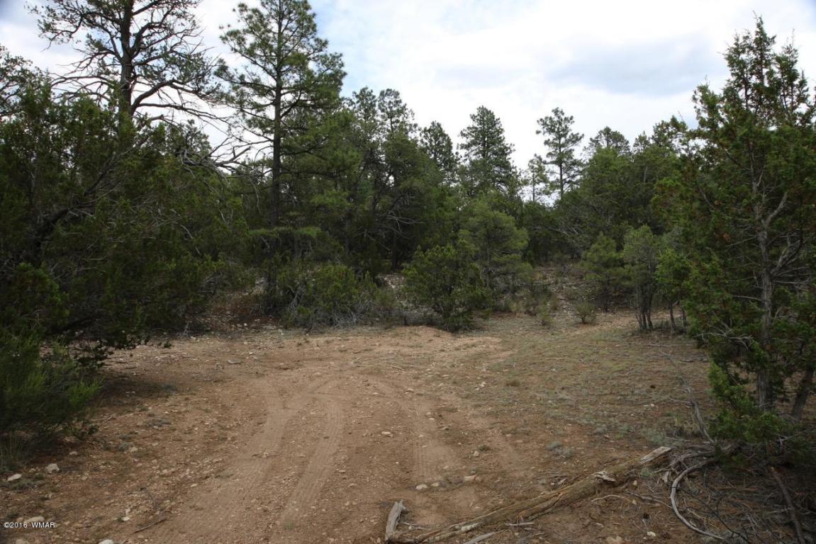3345 Sawmill Ridge Loop, Heber, AZ 85928