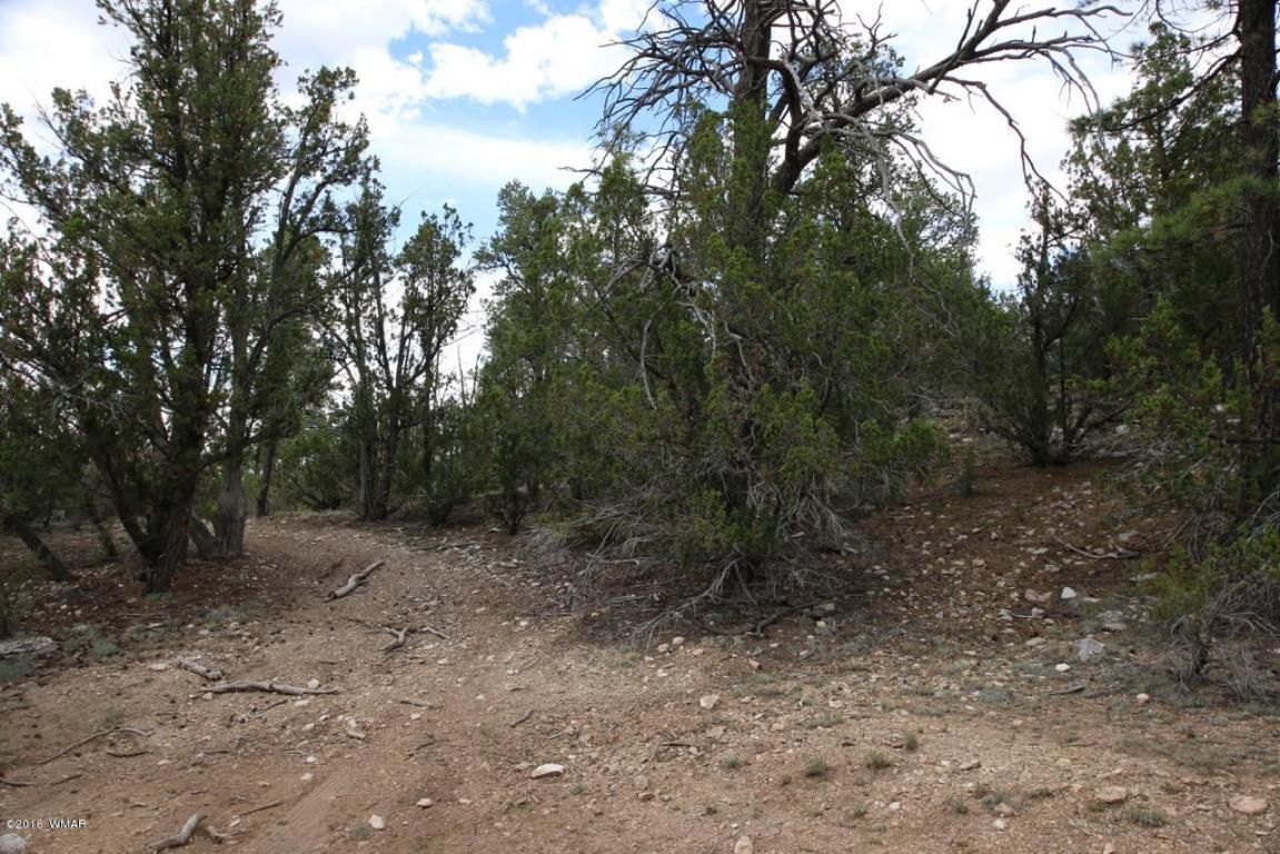 3345 Sawmill Ridge Loop, Heber, AZ 85928