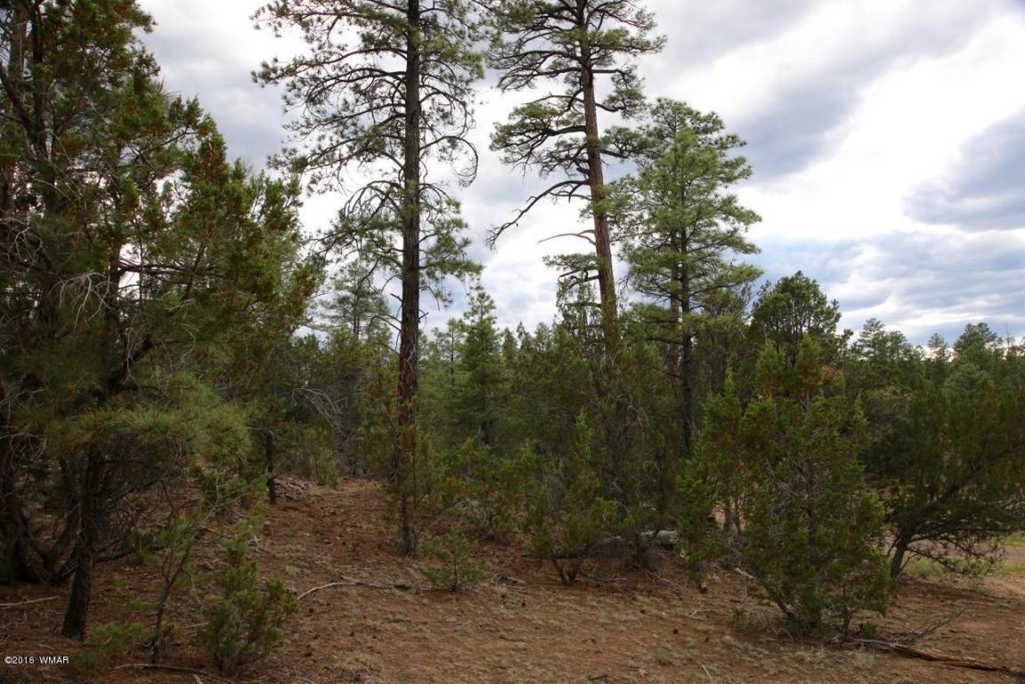 3345 Sawmill Ridge Loop, Heber, AZ 85928
