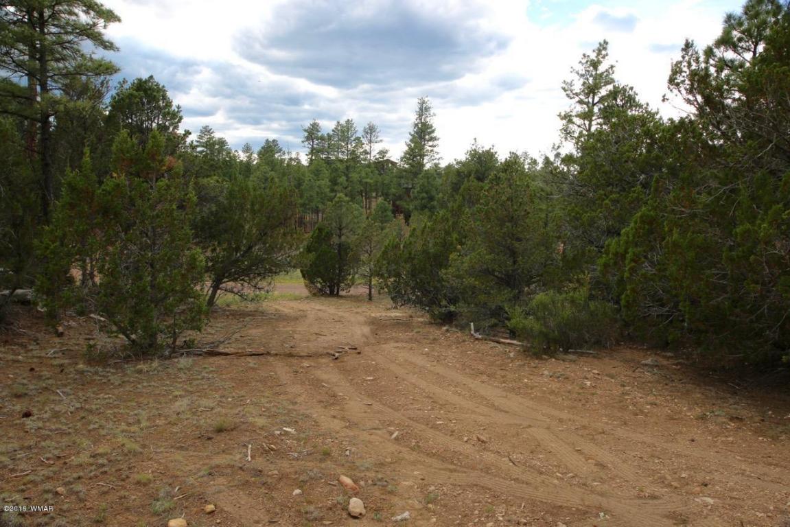 3345 Sawmill Ridge Loop, Heber, AZ 85928