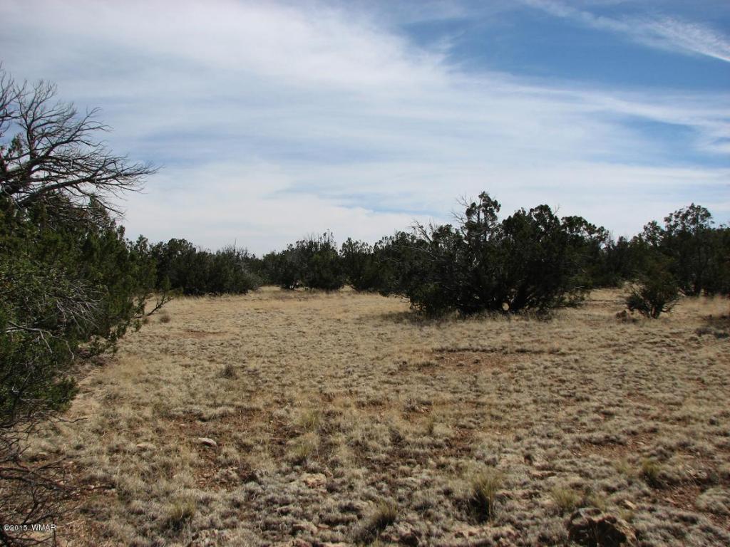 4 Sec. 20 T14N, R17E, Heber, AZ 85928
