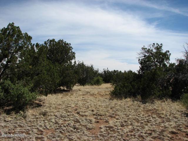 4 Sec. 20 T14N, R17E, Heber, AZ 85928