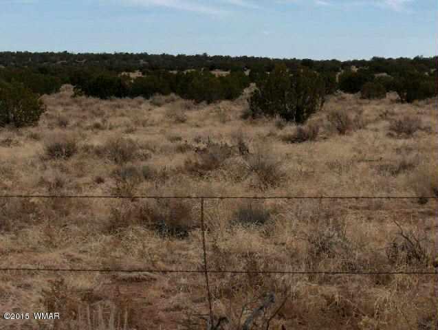 4 Sec. 20 T14N, R17E, Heber, AZ 85928