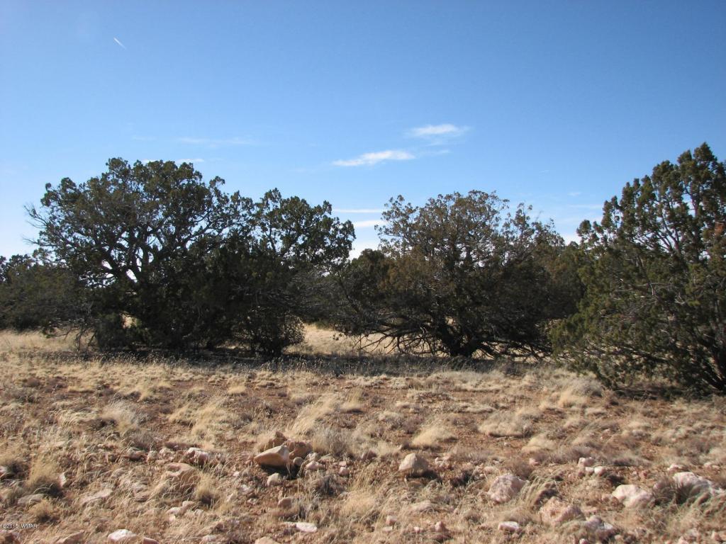3 Sec. 20 T14N, R17E, Heber, AZ 85928