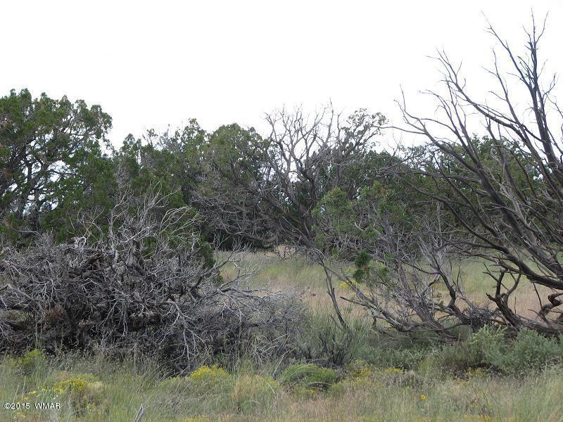 3 Sec. 20 T14N, R17E, Heber, AZ 85928