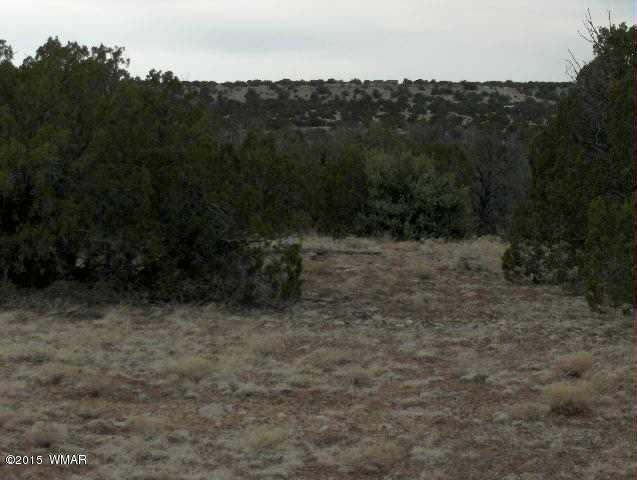 5 Sec. 20 T14N, R17E, Heber, AZ 85928