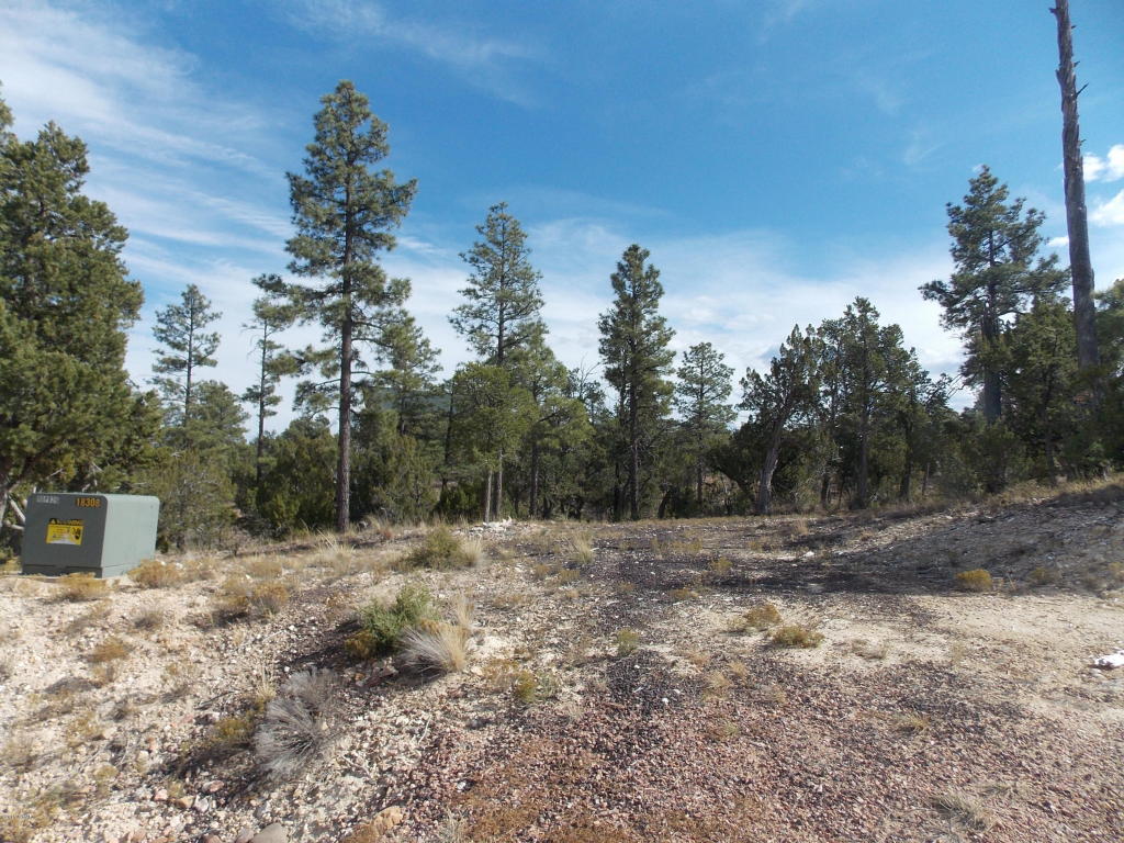 1863 TENNEY Lane, Heber, AZ 85928