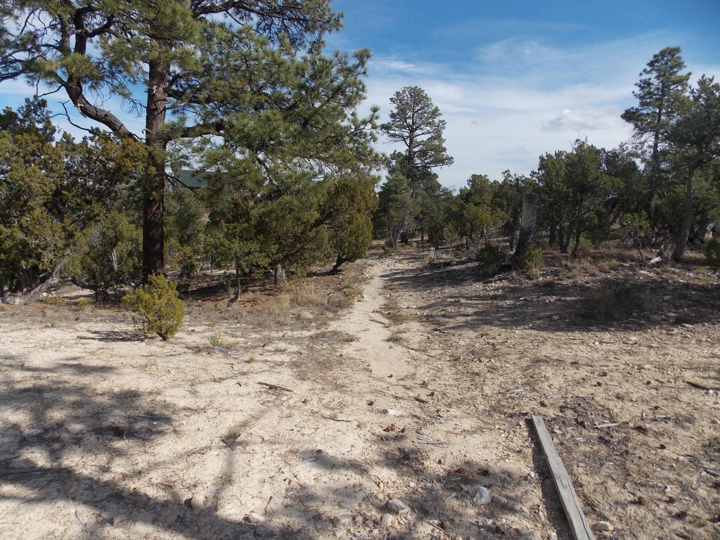 1863 TENNEY Lane, Heber, AZ 85928