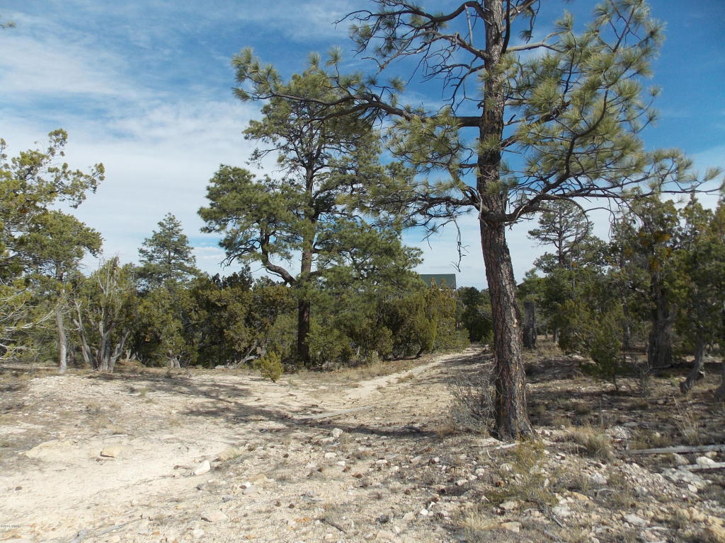 1863 TENNEY Lane, Heber, AZ 85928