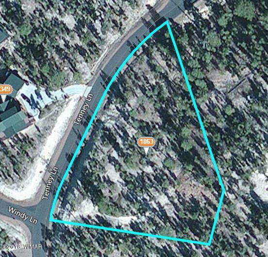 1863 TENNEY Lane, Heber, AZ 85928