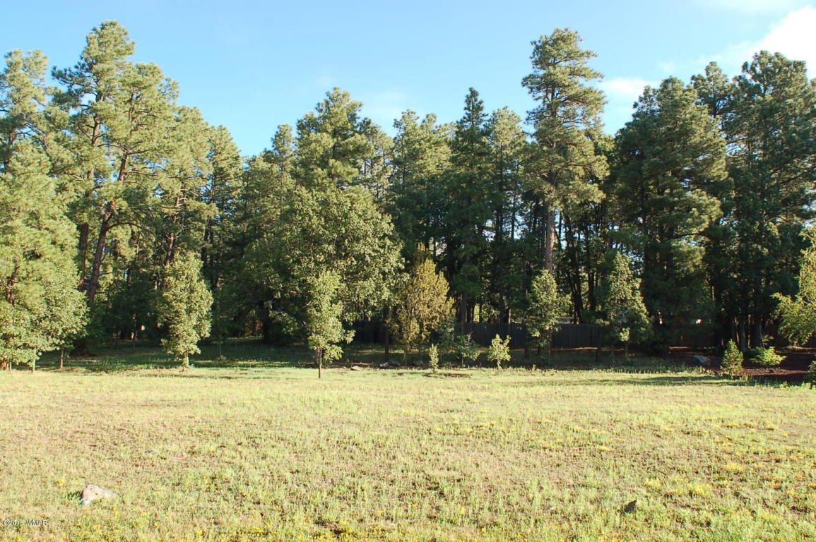 2150 Mallard Way, Lakeside, AZ 85929