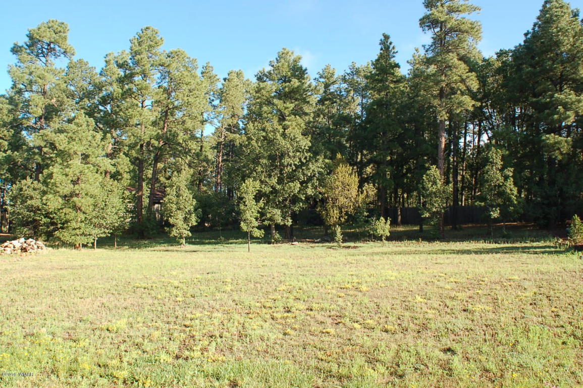 2150 Mallard Way, Lakeside, AZ 85929