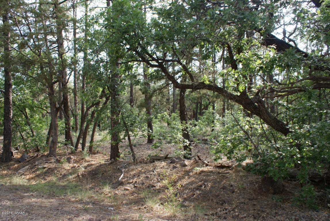 TBD N Blue Grass Ranch, Lakeside, AZ 85929