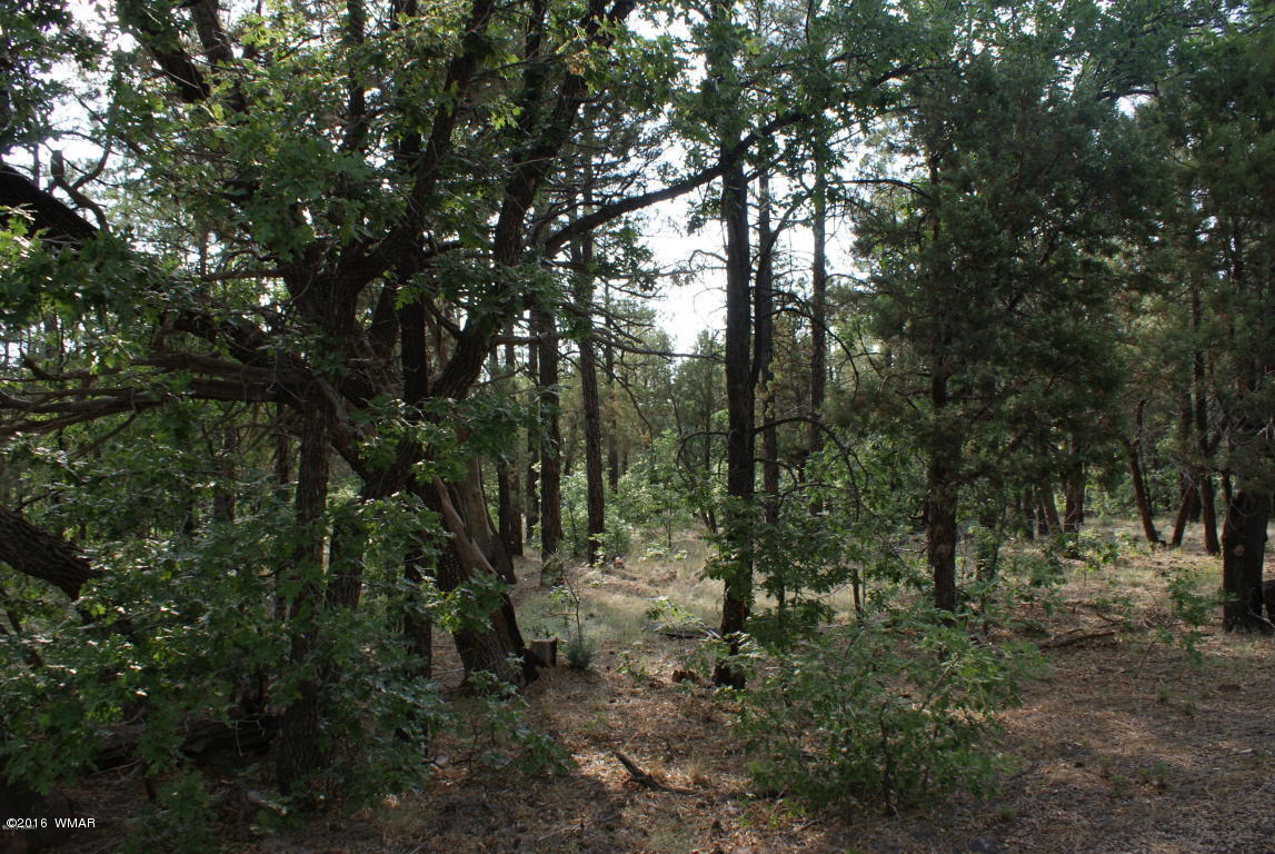 TBD N Blue Grass Ranch, Lakeside, AZ 85929