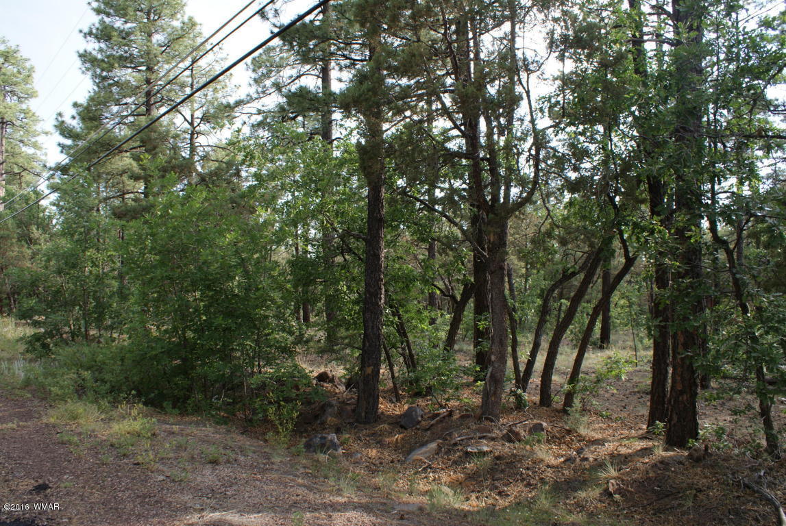 TBD N Blue Grass Ranch, Lakeside, AZ 85929