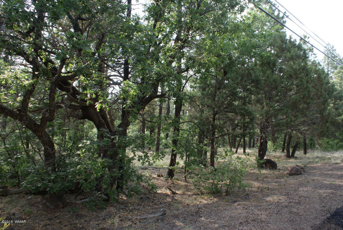 TBD N Blue Grass Ranch, Lakeside, AZ 85929