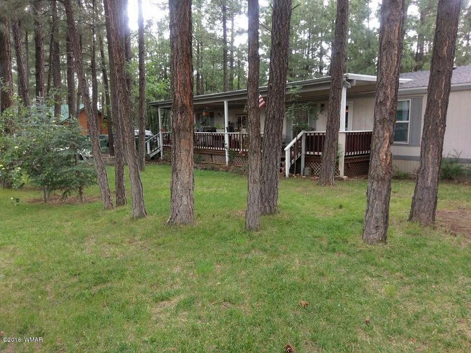 3876 Meadow View Drive, Lakeside, AZ 85929