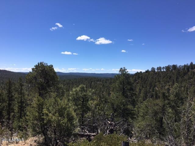 2958 RIM Road, Lakeside, AZ 85929