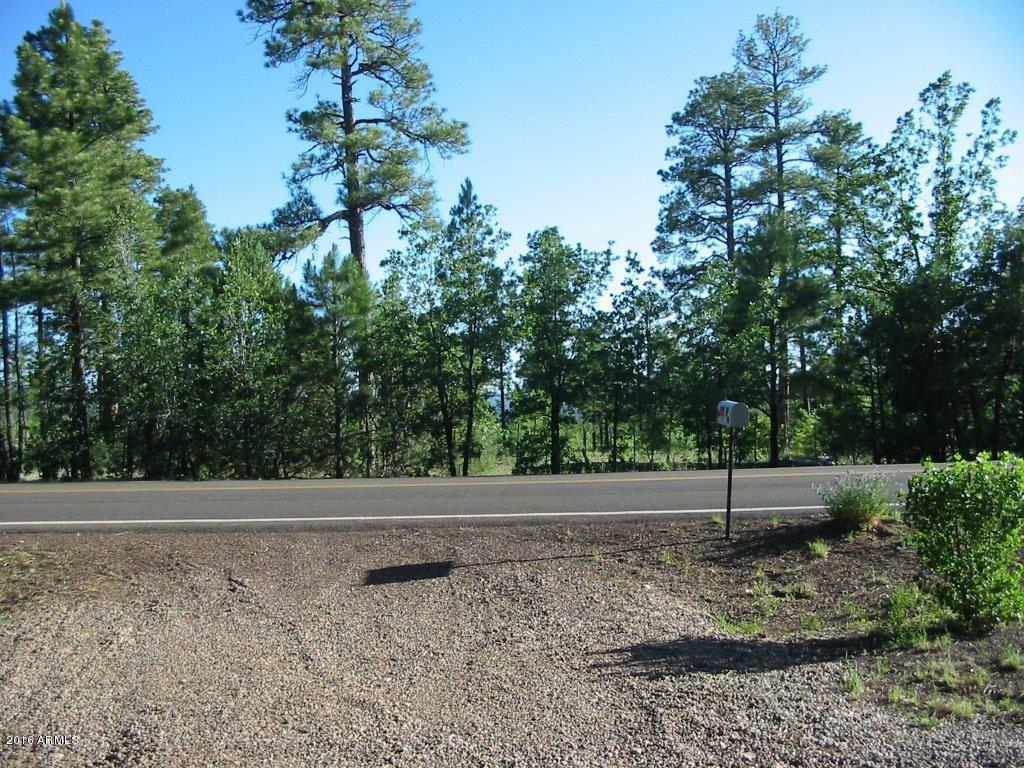 2958 RIM Road, Lakeside, AZ 85929