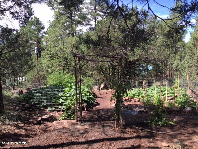 1118 N Springer Mountain Drive, Lakeside, AZ 85929