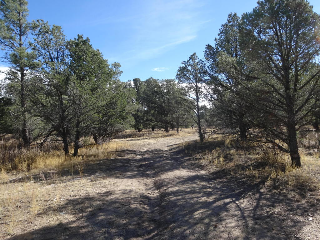 34 CR 2315, Nutrioso, AZ 85932