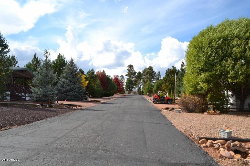 2220 WRANGLER Way, Overgaard, AZ 85933