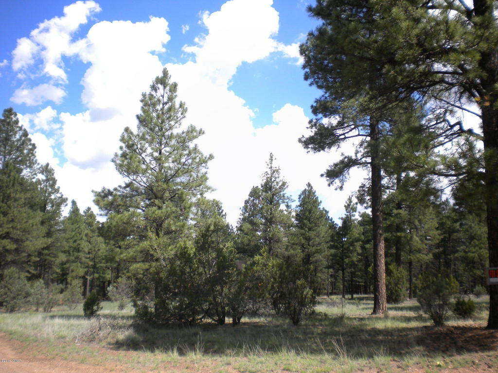 2889 Homestead Drive, Overgaard, AZ 85933