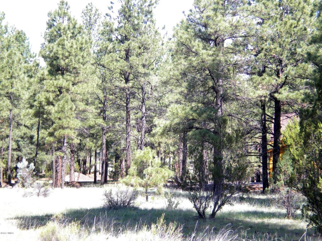 2889 Homestead Drive, Overgaard, AZ 85933