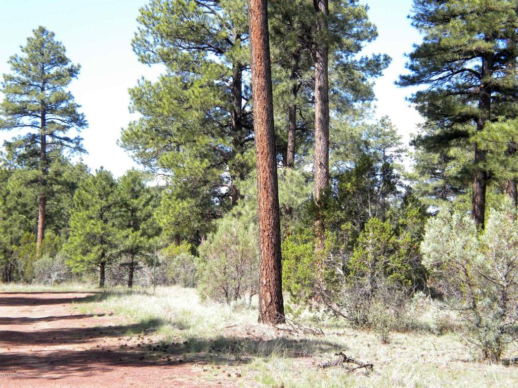2889 Homestead Drive, Overgaard, AZ 85933