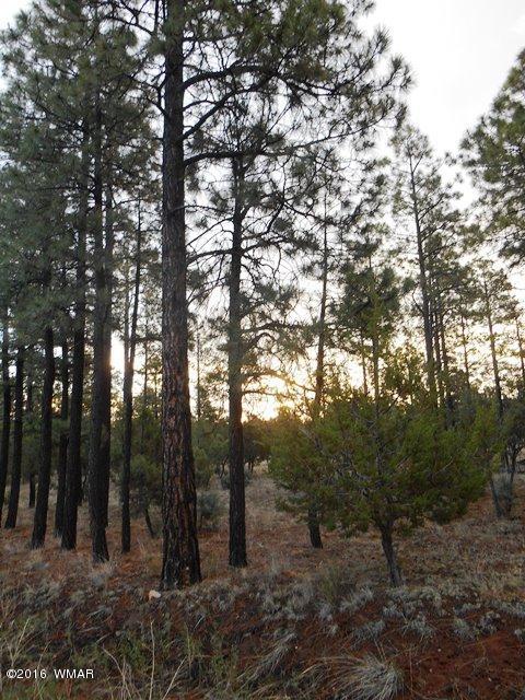 2967 Monica Road, Overgaard, AZ 85933