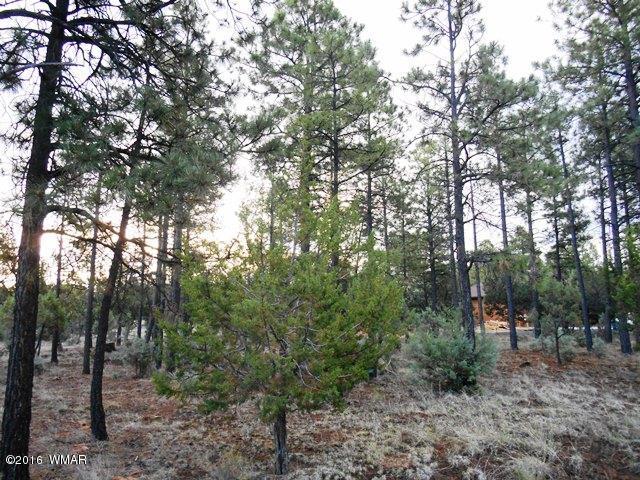 2967 Monica Road, Overgaard, AZ 85933