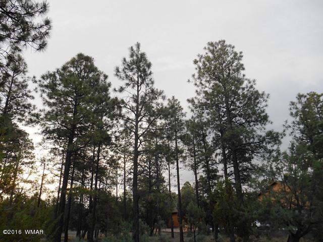 2967 Monica Road, Overgaard, AZ 85933