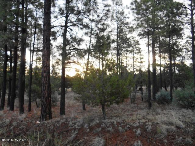 2967 Monica Road, Overgaard, AZ 85933