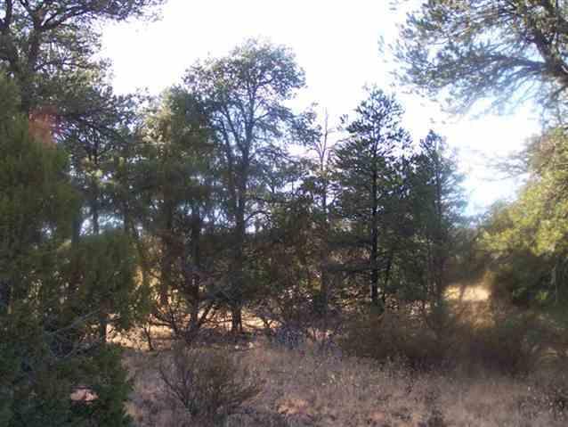 3356 Apache Drive, Overgaard, AZ 85933