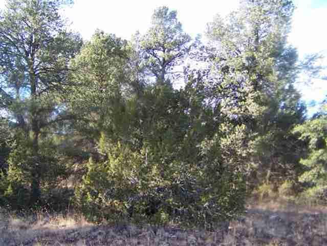 3356 Apache Drive, Overgaard, AZ 85933