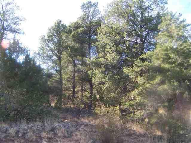 3356 Apache Drive, Overgaard, AZ 85933