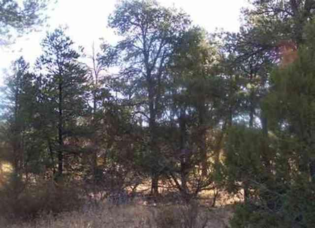 3356 Apache Drive, Overgaard, AZ 85933