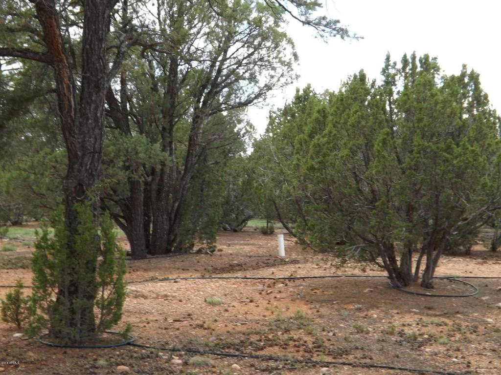 2802 CHANDELLE Lane, Overgaard, AZ 85933