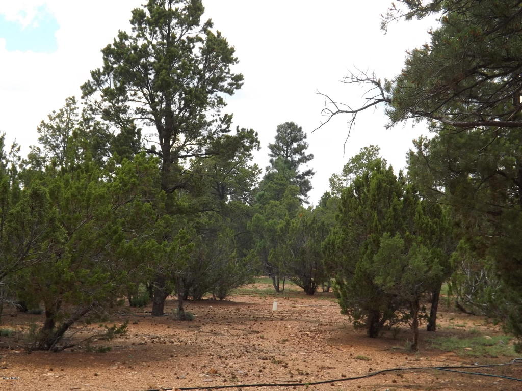 2802 CHANDELLE Lane, Overgaard, AZ 85933