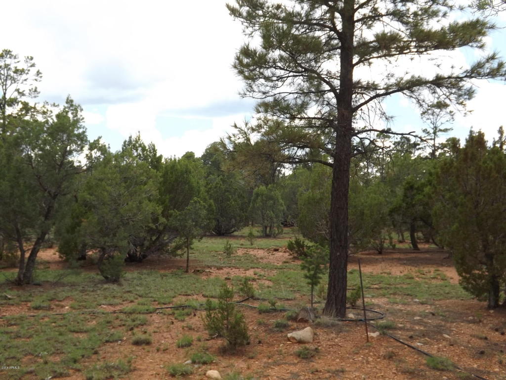 2802 CHANDELLE Lane, Overgaard, AZ 85933