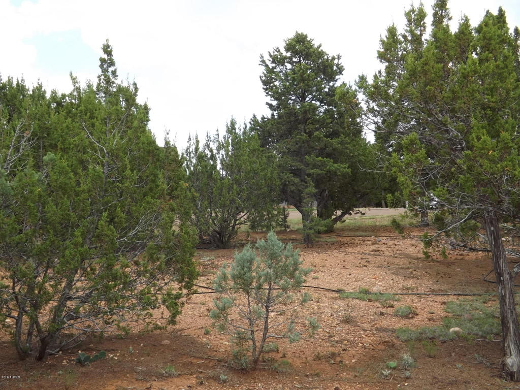 2802 CHANDELLE Lane, Overgaard, AZ 85933