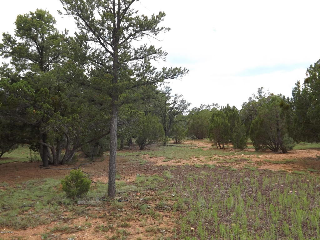 2802 Chandelle Lane, Overgaard, AZ 85933
