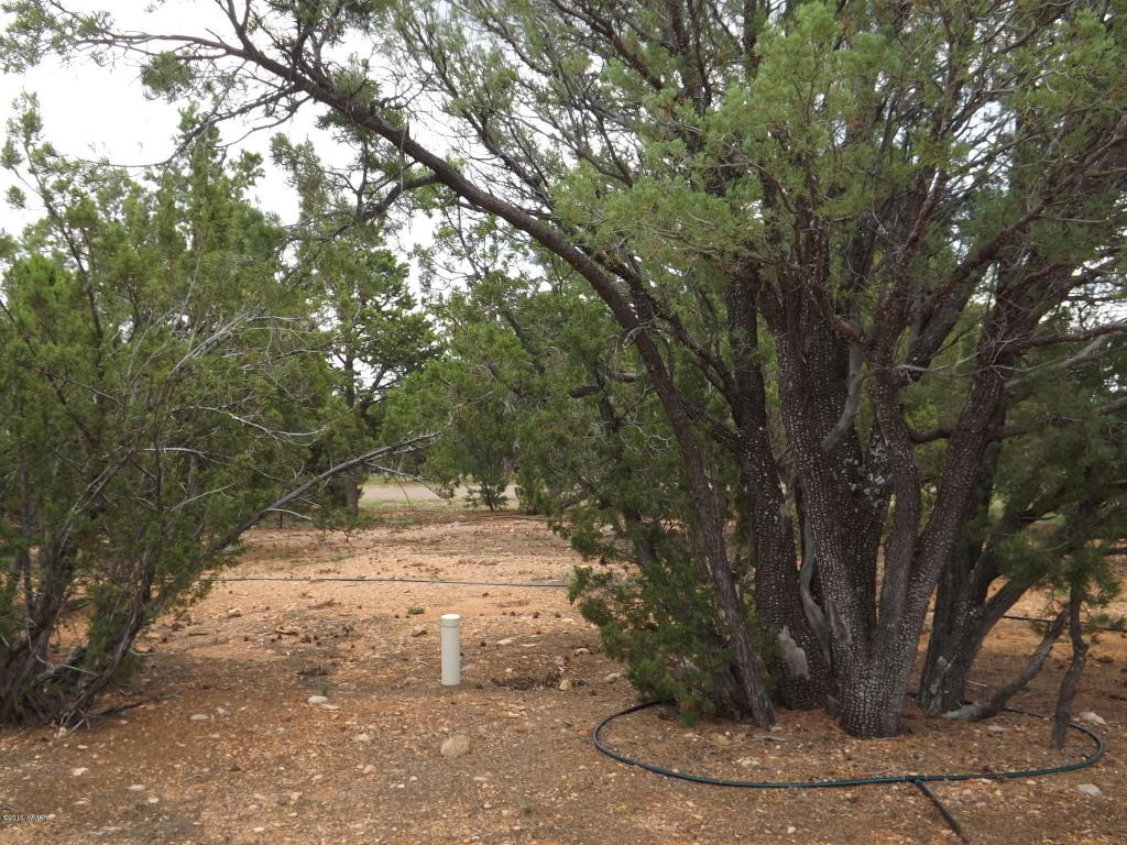 2802 Chandelle Lane, Overgaard, AZ 85933
